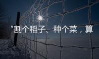 “割个稻子、种个菜
，算劳动教育吗�？”：下乡一周33年