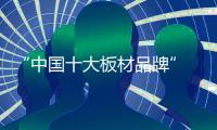“中国十大板材品牌” 丰叶板材专业深耕