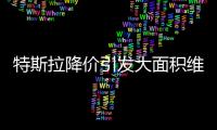 特斯拉降价引发大面积维权�：“价格屠刀”究竟砍向了谁？