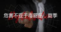 危害不亚于毒蘑菇
，夏季吃海鲜小心贝类中毒