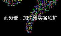 商务部�：加快落实各项扩消费政策措施