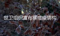 世卫组织宣布猴痘疫情构成“国际关注的突发公共卫生事件”
