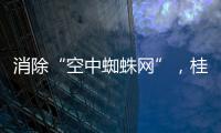 消除“空中蜘蛛网”，桂山镇整治“头顶难题”见成效