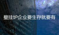 壁挂炉企业要生存就要有大智慧
