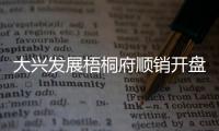 大兴发展梧桐府顺销开盘，38套认购、均价4.3万/平