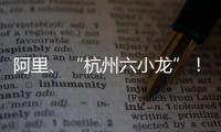 阿里�、“杭州六小龙”�！澳琴组团赴杭招商	，走访超20家知名企业