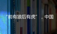 “前有狼后有虎”，中国第三大动力电池生产商赴港上市