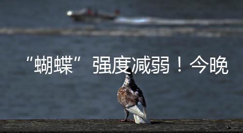 蝴蝶强度进一步减弱