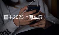 直击2025上海车展，车企不提“智驾”了