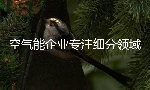 专攻空气能产品领域