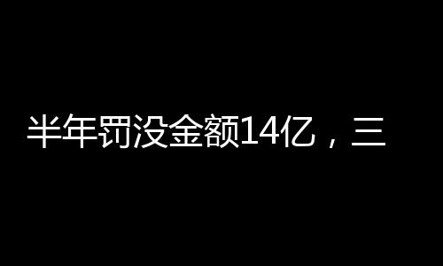 罚没鼓励支持第三方监督