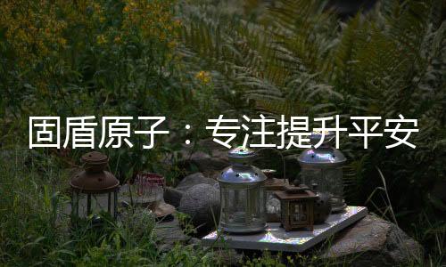 质量好”的固盾原则