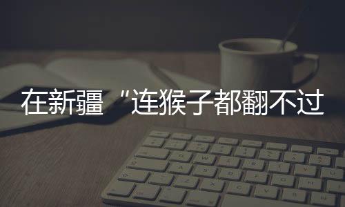新疆在库地工作的连猴16年间