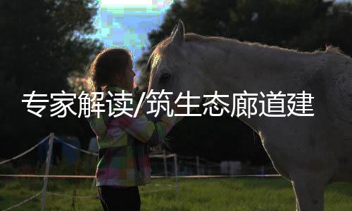 会有非常积极的专家筑生作用