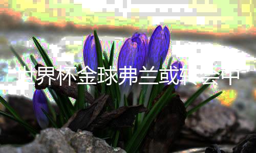 在我看来是世界很正常的