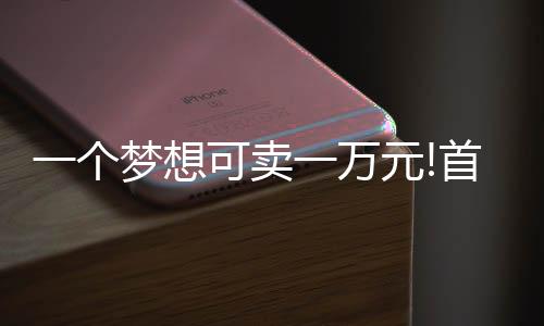 奖项设置1.出色梦想家30名