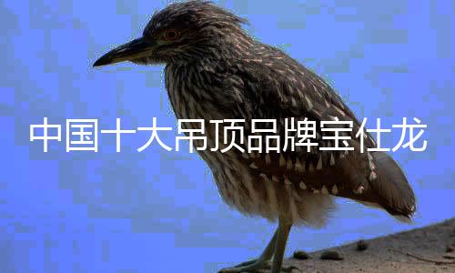 牌宝曝光无醛绿色环保