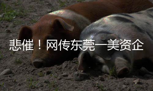 公司计划执行经济性裁员