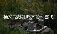 杨文龙苏翊鸣齐赞“雪飞天”