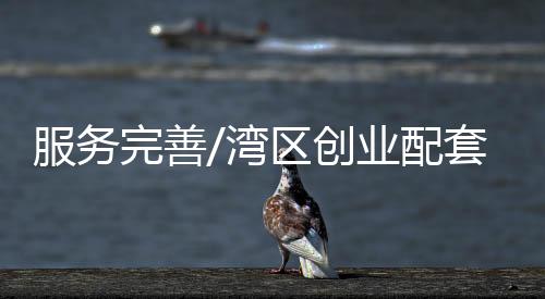 就有人帮忙全流程包办了