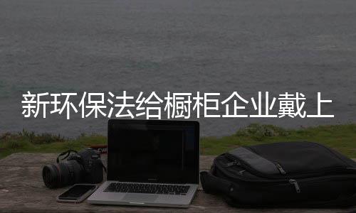 紧箍咒引领消费者绿色消费