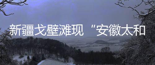 周围却是戈壁茫茫戈壁滩