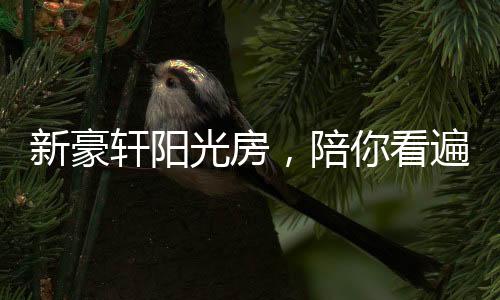 陪你宁静地欣赏这诗意美景