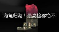 海龟归海
�！最高检称绝不放纵破坏资源环境非法行为
