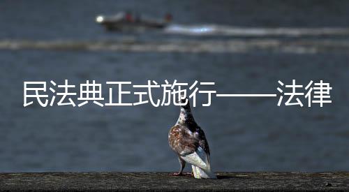 与该网络用户承担连带责任