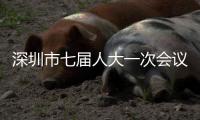 深圳市七届人大一次会议闭幕 覃伟中当选市长