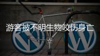 游客被不明生物咬伤身亡	，三亚通报救治详情