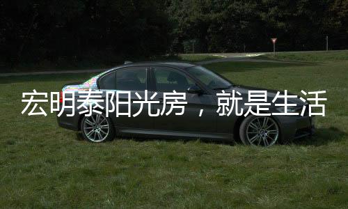 面对太阳的泰阳暴晒