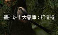 壁挂炉十大品牌：打造特色产品 立足国际市场之林