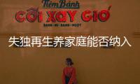 失独再生养家庭能否纳入政策补助？丨两会圆桌