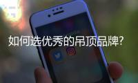 如何选优秀的吊顶品牌?小编为你推荐十大吊顶品牌