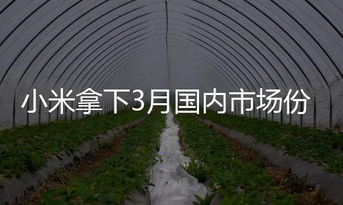 更是拿下内市在国补叠加之下