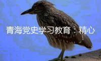 青海党史学习教育：精心谋划确保有特色 挖掘红色资源“活教材”