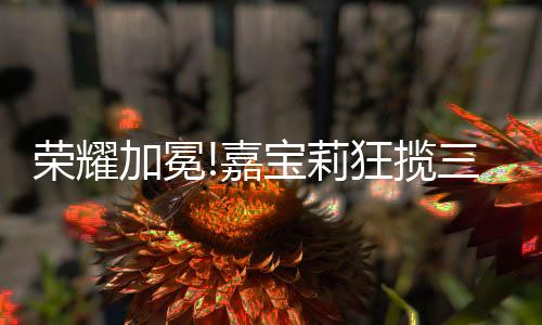 “设计下午茶”落地