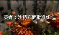 英媒：沙特方面批准纽卡高价签伊兰加，目标还包括格伊等国脚球员