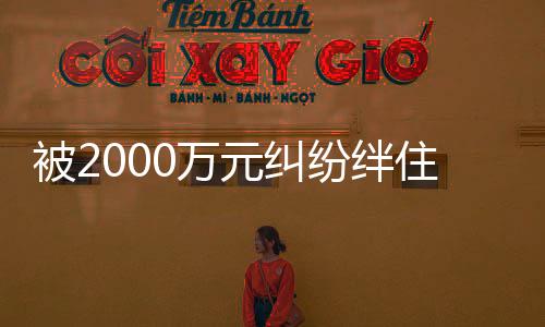 元纠总市值为46.15亿港元