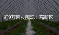 近9万网友围观！高新区这场自然与文明的“云约会”太赞了