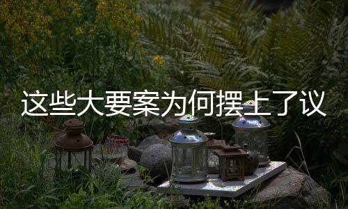 都是大案殿堂“天大的案件”
