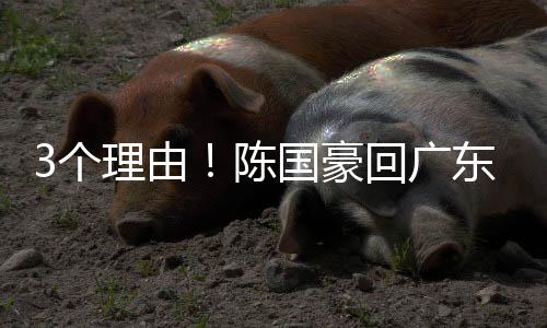 要帮广东队稳住或者提升成绩