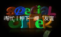 i帮忙丨种下一棵“友谊树” 续一场“春天之约”